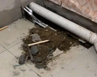 虎丘卫生间漏水检测哪家好
